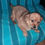 Thumbnail: Maya, small girl, one year
