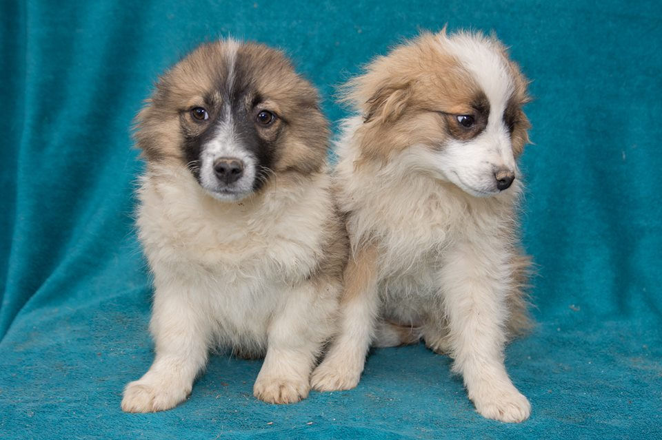 Thumbnail: Gaia, born Nov.