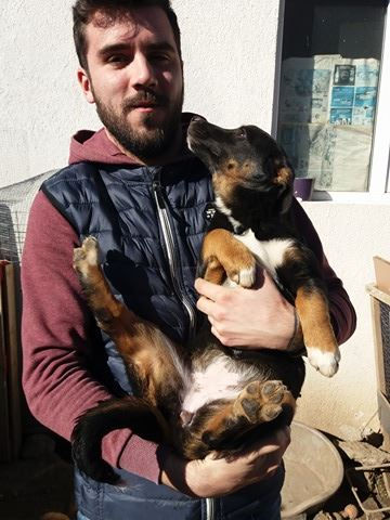 Thumbnail: Petal, born Feb. Coming to UK foster