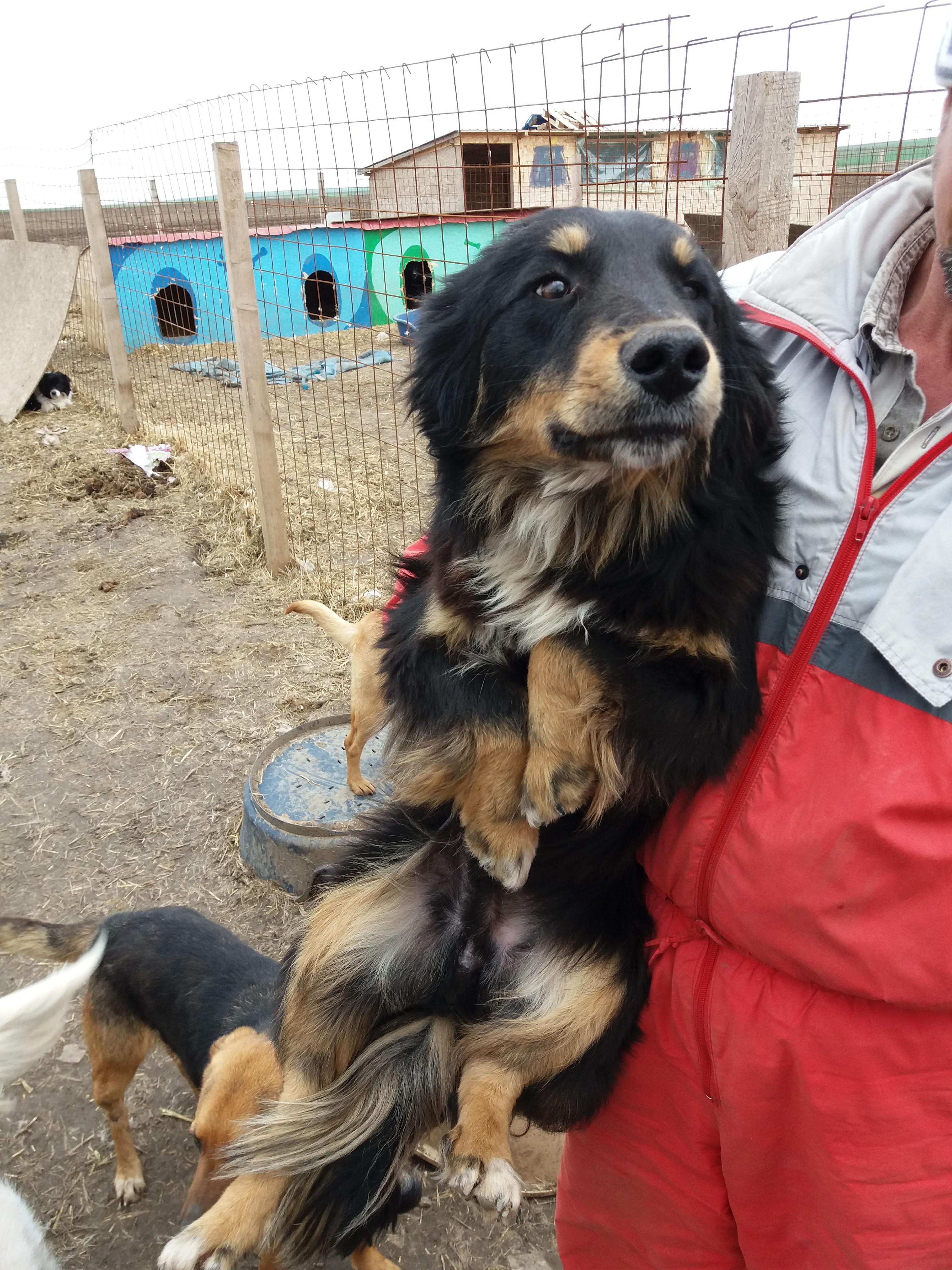 Zola - 1-2 years old