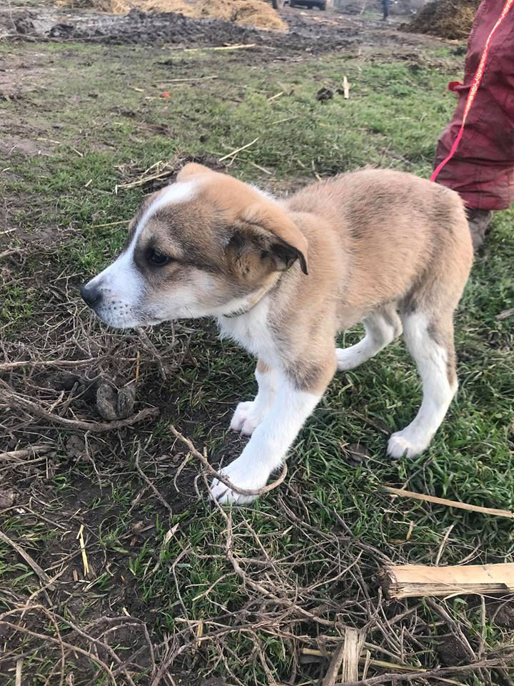 Thumbnail: Eddie, born Oct.