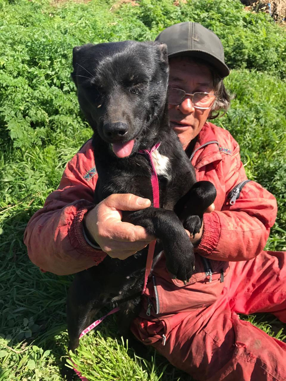Thumbnail: Frieda, small, 2 yrs