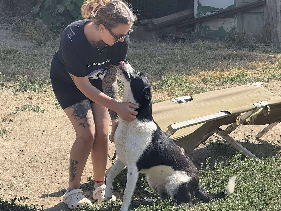 Thumbnail: Bandit, Aug 2024