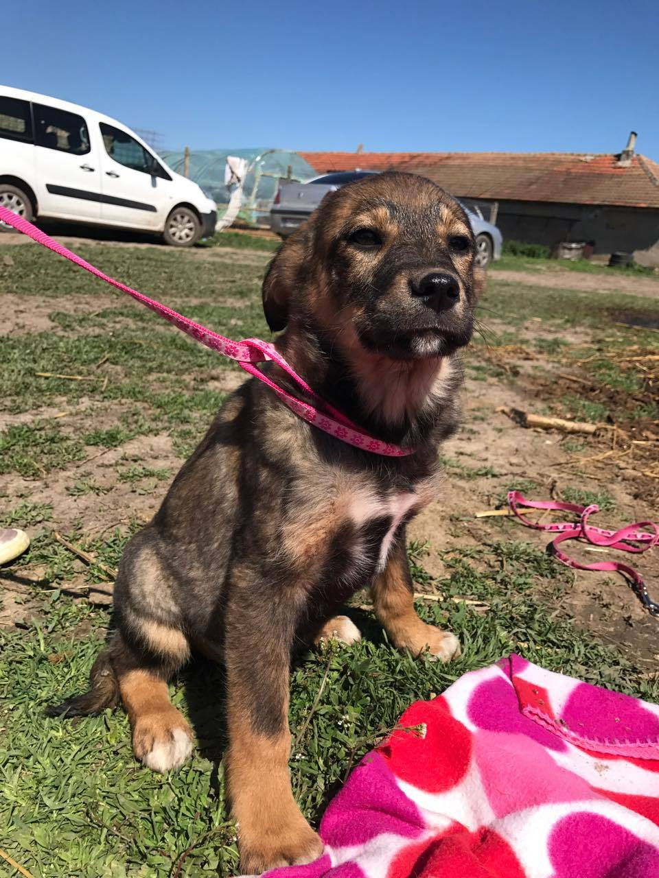 Thumbnail: Zara, 4/5 months
