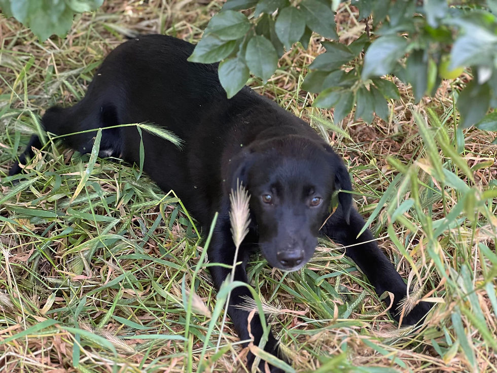 Thumbnail: Winnie, Feb 2024