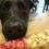 Thumbnail: Nicky - 11 months, in Fife