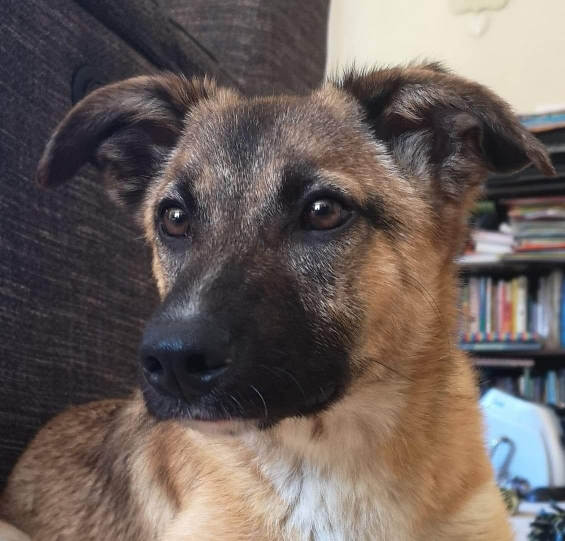 Manuel, born July 18