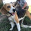 Thumbnail: Crazy, beagle, 1-2 years