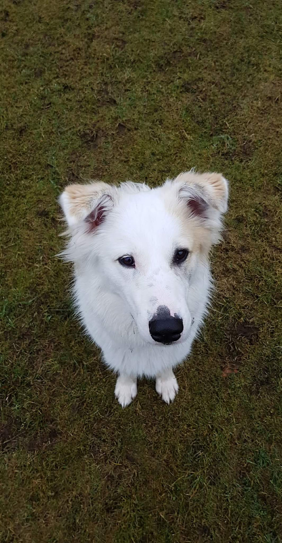 Milo, born May 17.