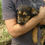 Thumbnail: Melanie, born early March