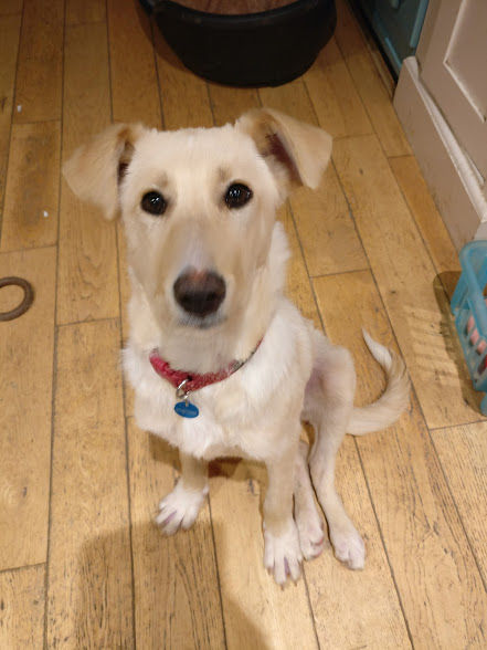 Thumbnail: Catriona, born July, Wiltshire