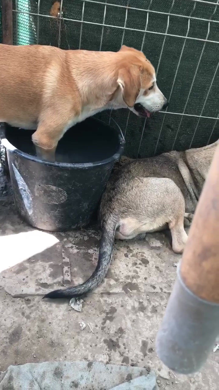 Thumbnail: Lina, March 2025