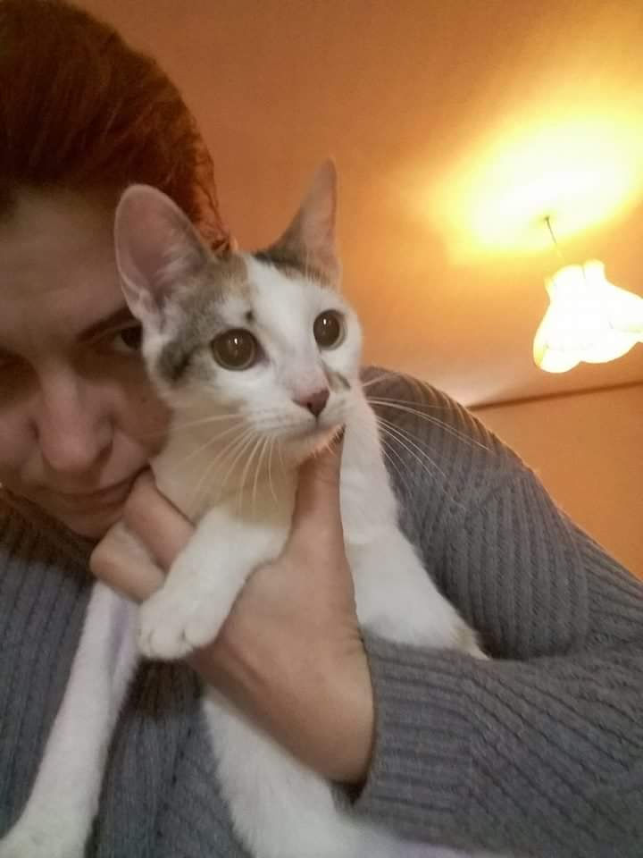 Pinky. 9 months, female