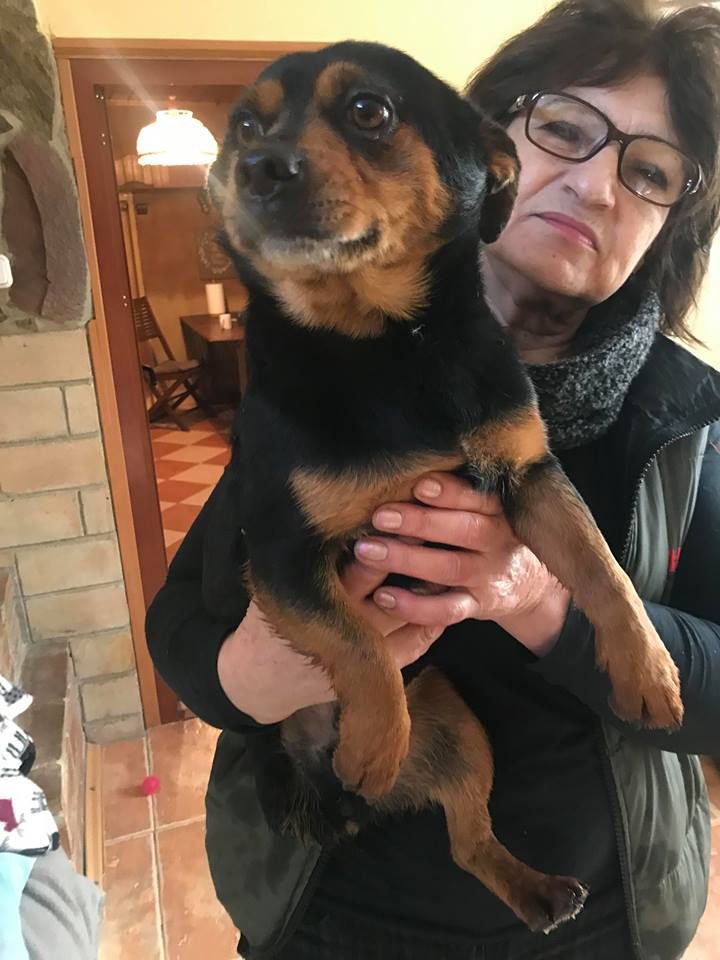 Thumbnail: Floyd,small, 3 years, tripaw