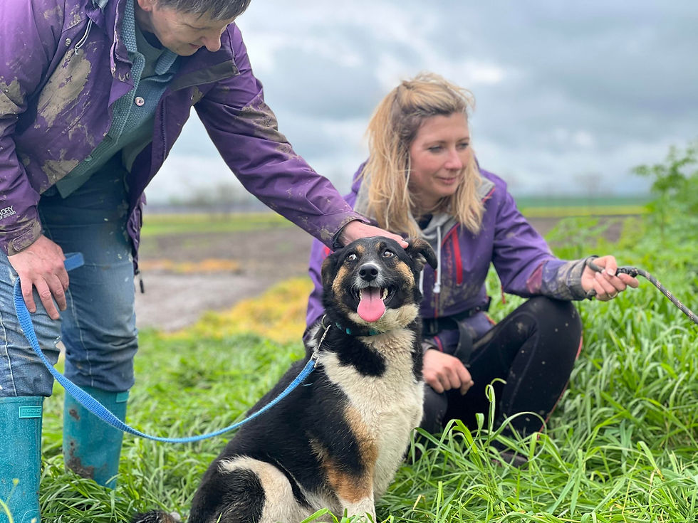 Thumbnail: Harriet, April 22