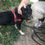 Thumbnail: Angus, 2-3, small.