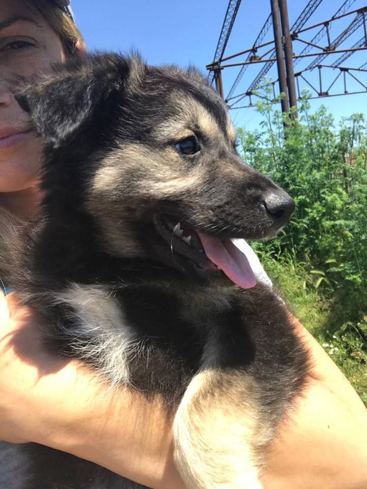 Thumbnail: Julie, 10 weeks