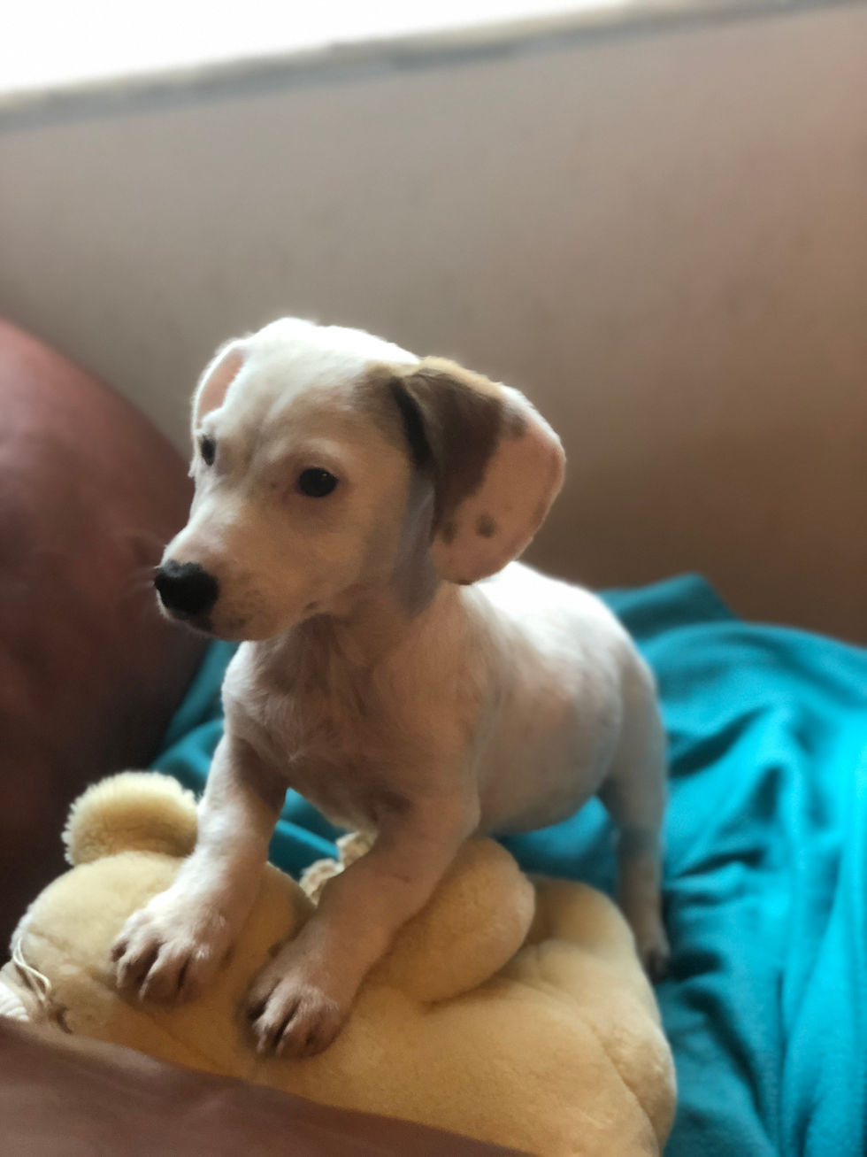 Thumbnail: Carter, small, born July