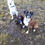 Thumbnail: Milo, born May 17.