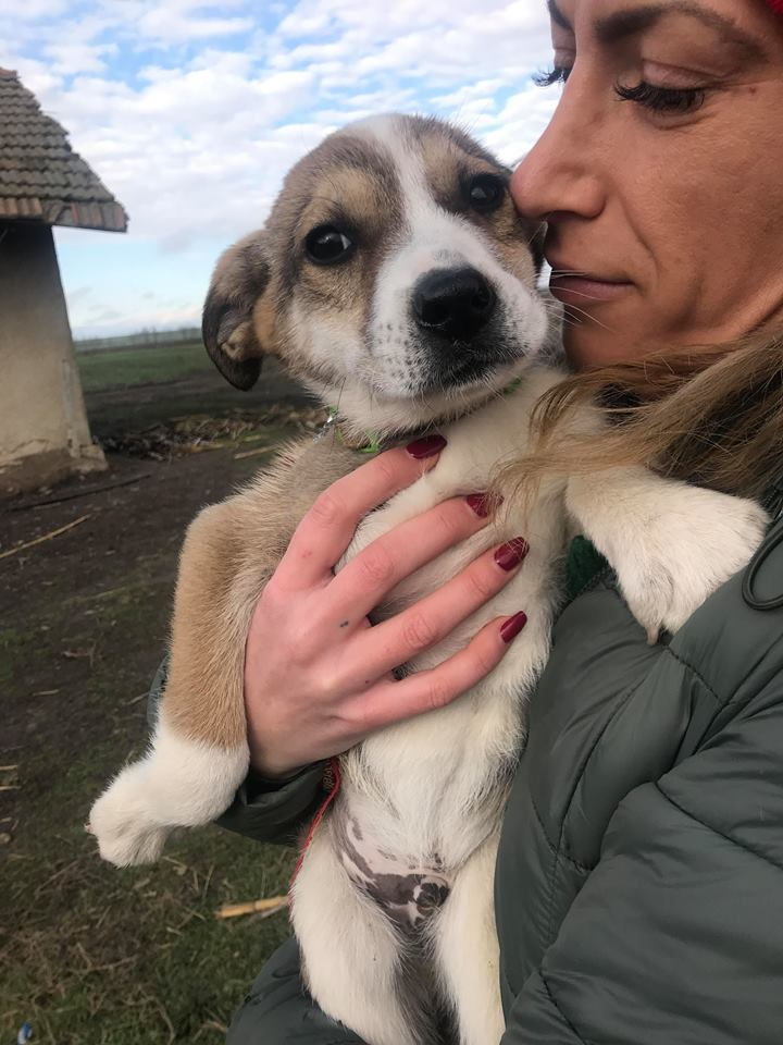 Thumbnail: Eddie, born Oct.