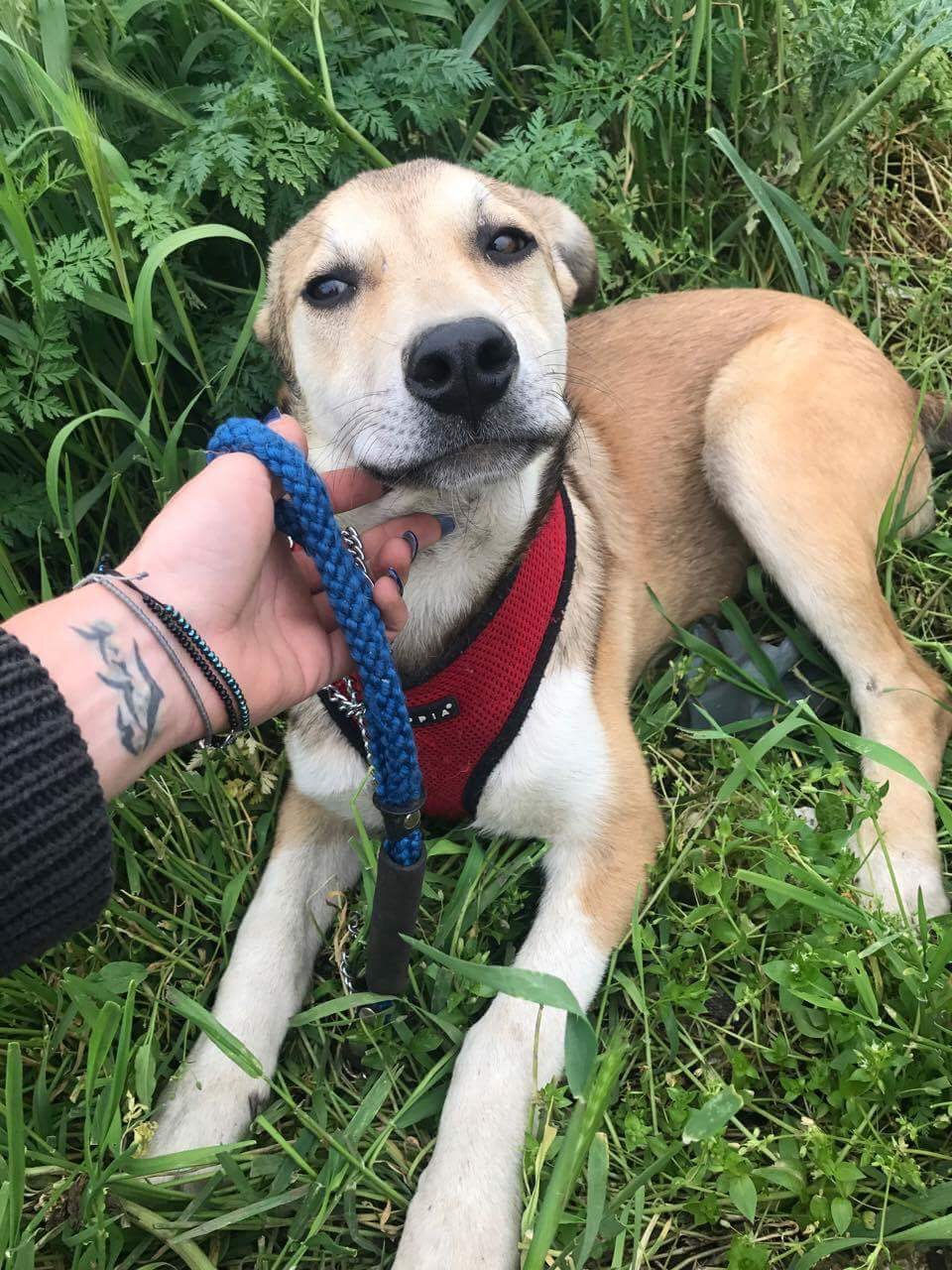 Thumbnail: Teddy - born January