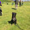 Thumbnail: Nicky - 11 months, in Fife