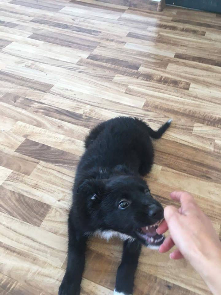 Thumbnail: Izzy, born May