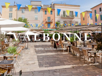 Immobilier Valbonne : Ou se loger ? Guide des Quartiers