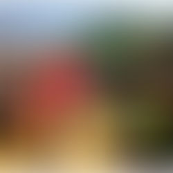 La leçon de vie d'un passage au Sénégal