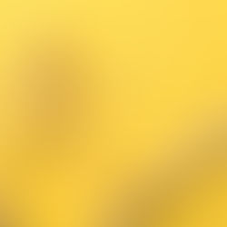 Ce qui engage vraiment au travail n’est pas ce que nous croyons