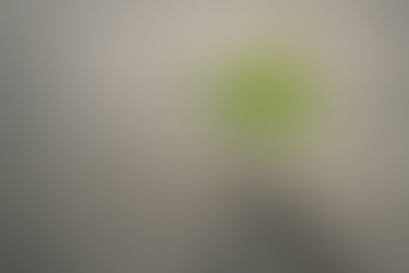 Et si l’échec n’était pas l’ennemi que l’on croit ?