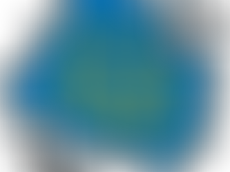 Recognizing Our Sponsors- 2025