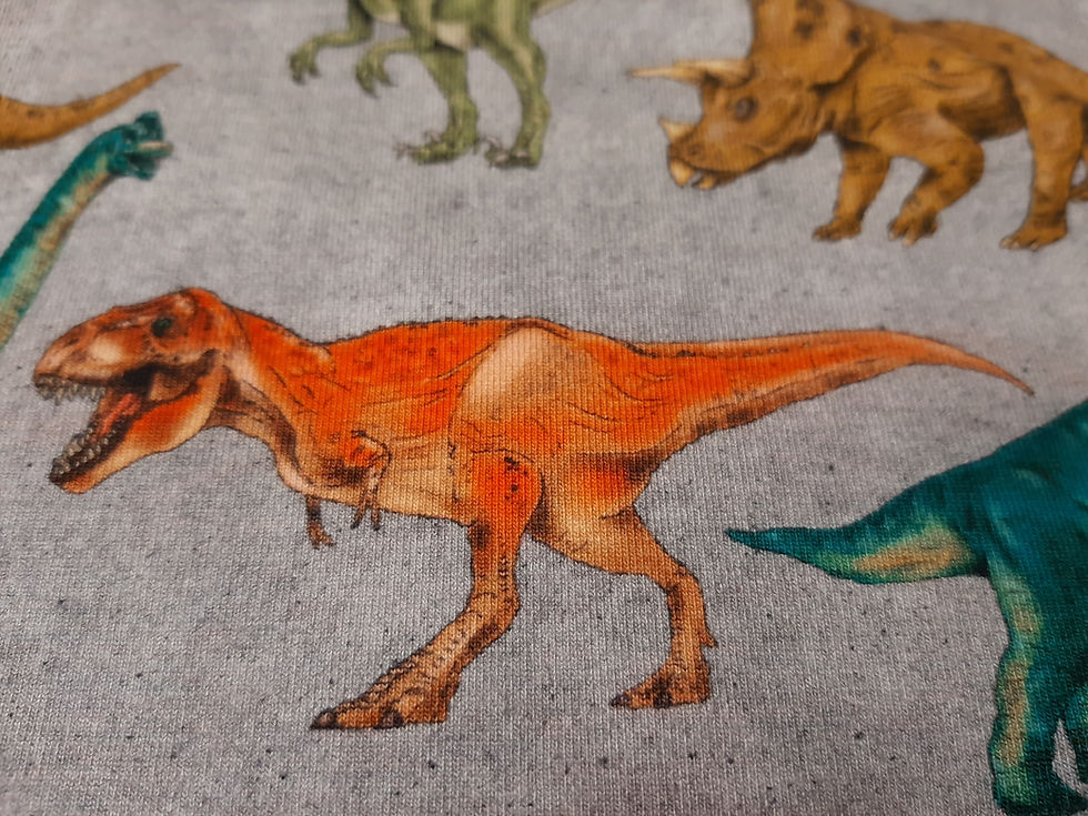 Miniatura: Punto -  Dinosaurios andantes