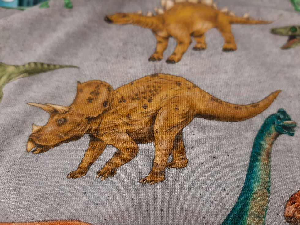 Miniatura: Punto -  Dinosaurios andantes