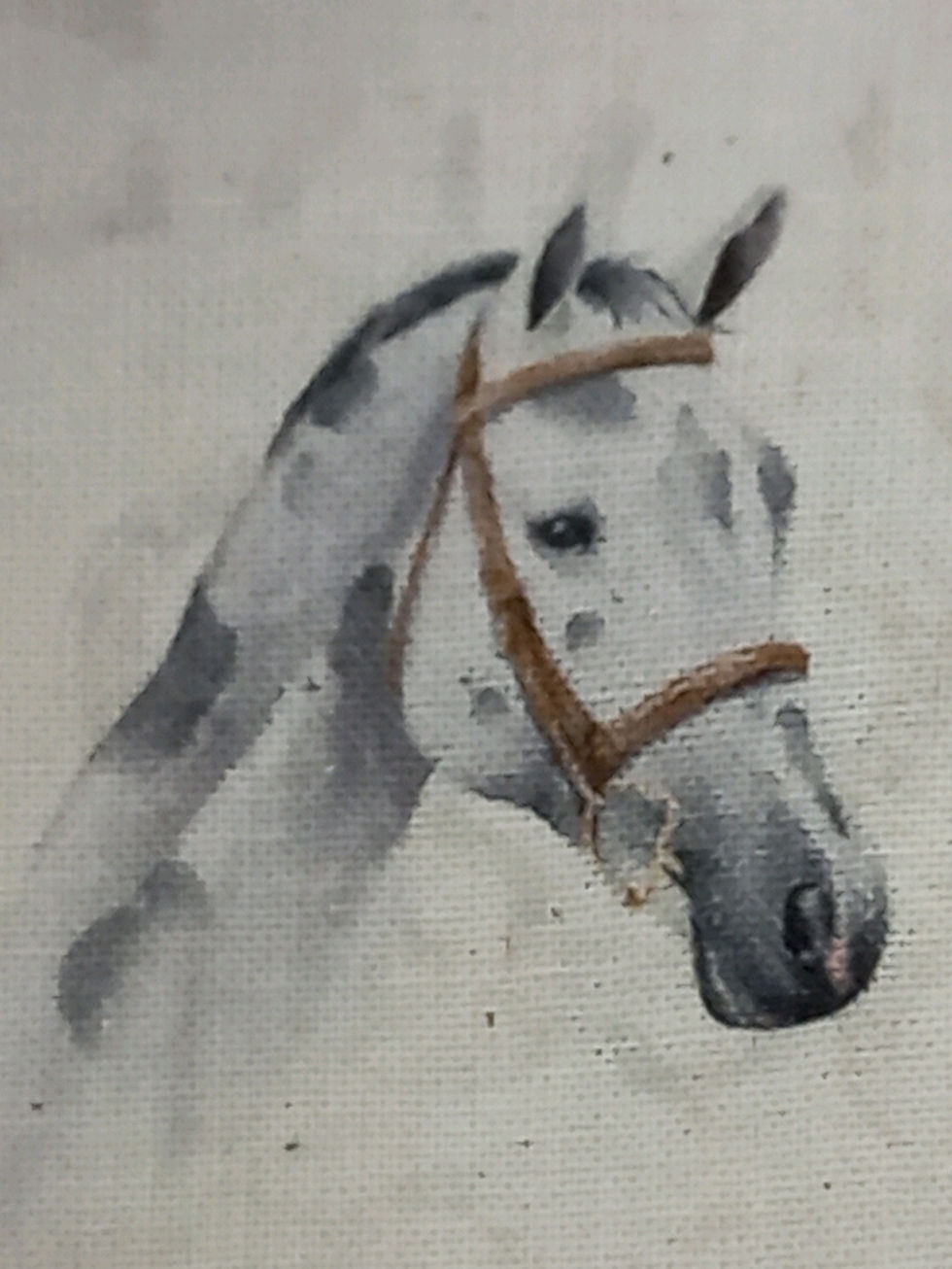 Miniatura: Popelín cabezas de caballos