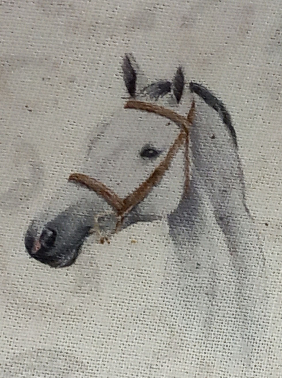 Miniatura: Popelín cabezas de caballos