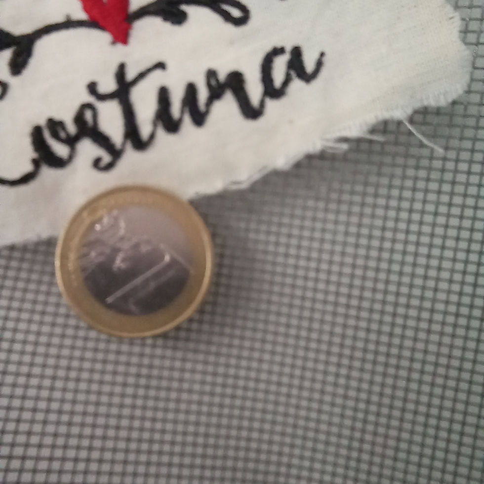 Miniatura: Mosquitera