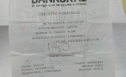Ejemplo Boleta.jpg