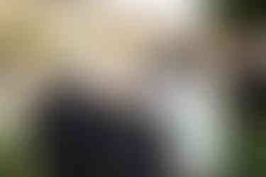 reportage mariage Bretagne