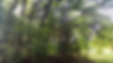 PhotographyConsultant-036.jpg