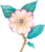 Ksenia J. Merck Ghost Flower
