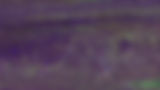 Purple Multi Background_sm.jpg