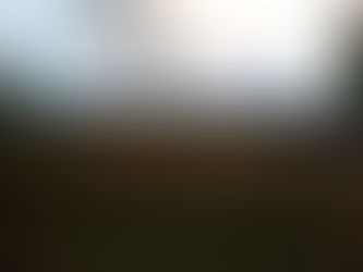 Mitchele's New House