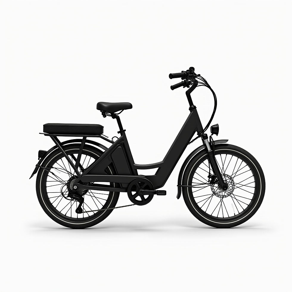 Electric Cargo Bike
