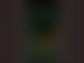 [배경화면] 별이 빛나는 밤에