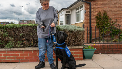Amanda’s Paw-Some Foursome has Taken the Strain