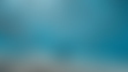 Ocean Film Festival Makes a Splash