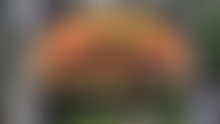 Changing Places Opens at Suffolk’s African Animal Attraction