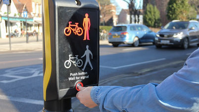 Why didn’t the Adult with Limited Mobility Cross the Road?