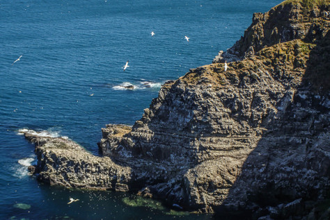 triangle birdson the rocks.jpg